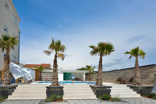 a group of palm trees next to a swimming pool at Boutique Apartments Ad Astra in Bibinje