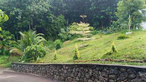 a stone retaining wall next to a hill with trees at Mountain View Villa Vacation Rental in Idukki