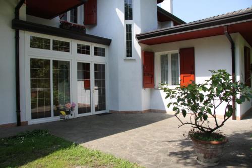Κήπος έξω από το B&B Vanessa House