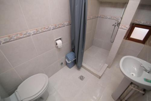 a bathroom with a toilet and a shower and a sink at Casa Verde Hostal in Sucre