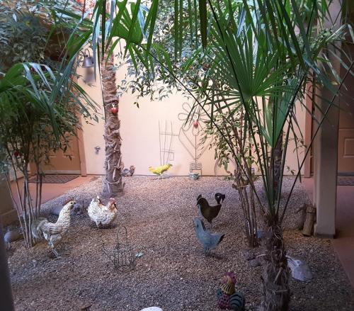 a group of chickens walking around in a courtyard at Beaver Creek Inn in Lake Montezuma