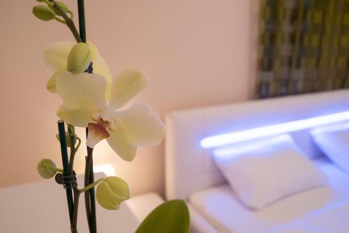 Anna Apartment