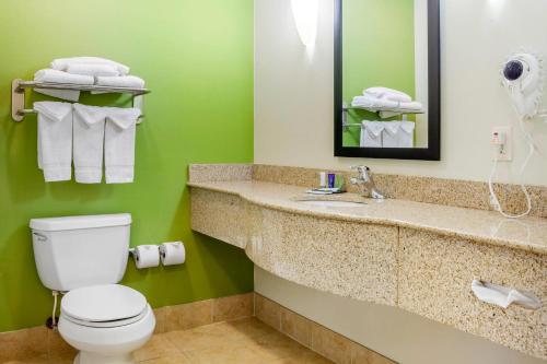 a bathroom with a toilet and a sink and a mirror at Sleep Inn & Suites Milwaukee Airport in Milwaukee