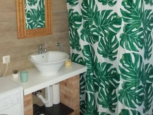 Apartment Mir - Studio Apartment with Garden View