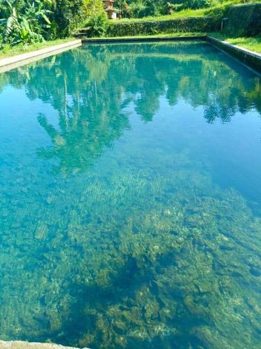 Paesaggio naturale nelle vicinanze della casa vacanze