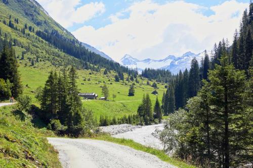 a dirt road in a valley with mountains at Gschlössl, Ferienhaus in Rauris