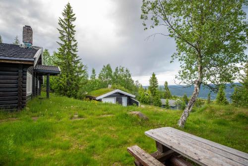 a wooden bench sitting on top of a green field at Trysilfjellet Sør 480 in Trysil