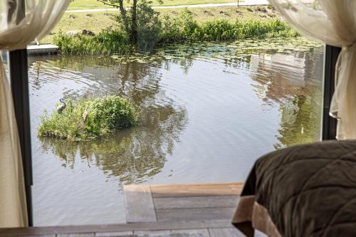 a view of a pond with a duck in the water at AKIS namelis medyje- Dinosaur Park in Radailiai