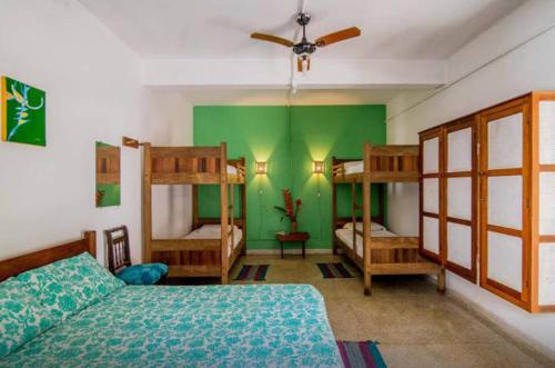 1 dormitorio con 2 literas y paredes verdes en Casa Bacarirá - Floresta com Yoga e Café da Manhã Vegano, en Camburi