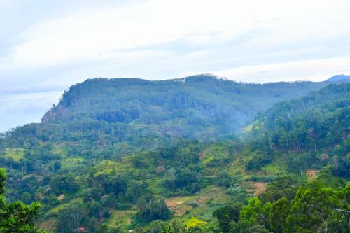 a view of a mountain with forests and trees at Ella Soul Nest Glamping Tent for Nature Lovers in Ella