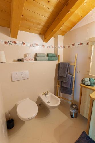 a bathroom with a toilet and a sink at Kofelhof in Sesto