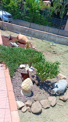a garden with a pineapple plant and rocks at Villa House of William in Lascari