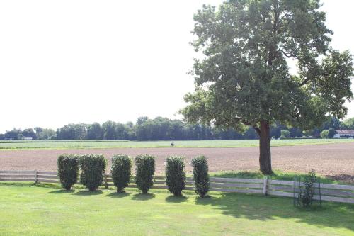 a row of bushes next to a fence and a tree at Erwachsenen Aparthotel Naturidyll - Der Wieserhof in Bad Füssing