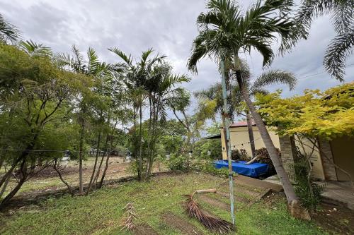 a yard with palm trees and a house at Vista Venice Resort in Morong