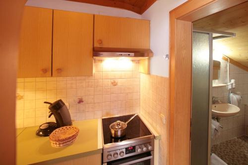 Gallery image of Appartment Schattbachgut in Zell am See