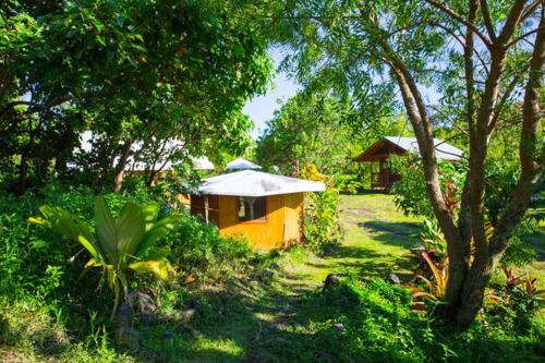 a small yellow house in a field with trees at Kirpal Meditation and Ecological Center in Pahoa