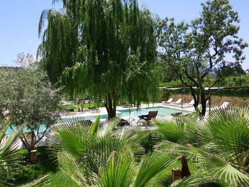 a swimming pool with trees and plants in a park at Domaine Malika - Adults Only in Ouirgane