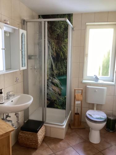 a bathroom with a shower and a toilet and a sink at Ferienhaus Möwe in Hessenburg