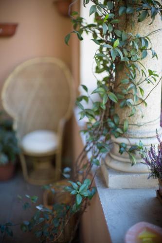 a room with a chair and a vase with plants at Hotel Dei Pittori in Turin