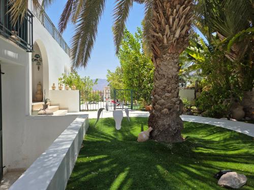 a palm tree in the yard of a house at Like home at the Tehar-Lev family in Eilat