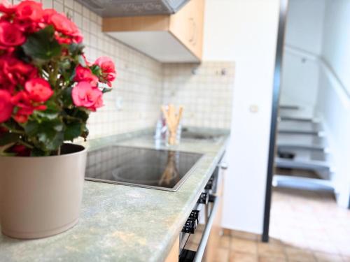 Dapur atau dapur kecil di Max Bienenwachs
