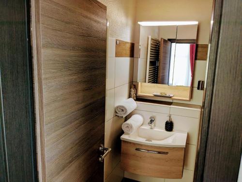 a small bathroom with a sink and a mirror at Weisser Brunnen in Gotha