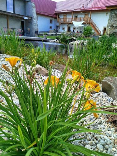a garden with yellow flowers in front of a house at Jílová tvrz in Rožmberk nad Vltavou