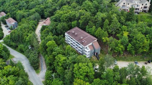 an overhead view of a building in the forest at Swimming Pool Spa - Condo Mont Tremblant 2 in Mont-Tremblant
