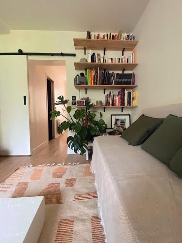 un salon avec un grand lit et une étagère à livres dans l'établissement Charming apartment at the gates of Paris, à Boulogne-Billancourt