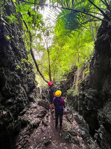 two people walking on a trail in the jungle at Xscape Tambun in Ipoh