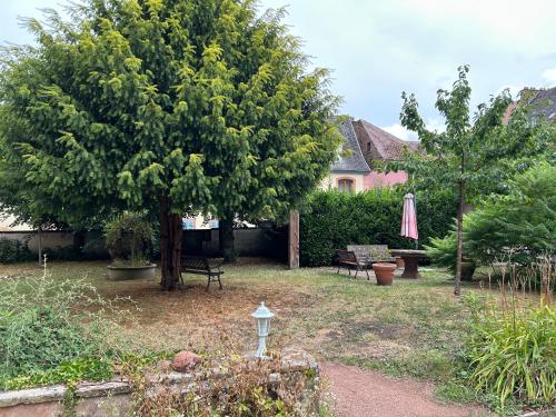 a yard with a tree and a bench and a house at Le belvédère au cœur de Saverne in Saverne