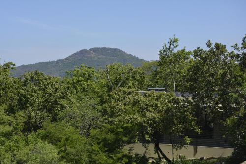 Příroda nedaleko apartmánu