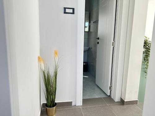 Saluto Apartments