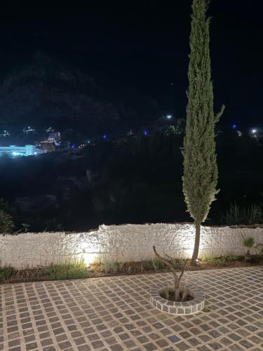 a small tree in a pot next to a wall at Casa Hugo in Chefchaouene