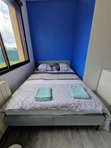 Chambre Privée dans appartement partagé BLEU