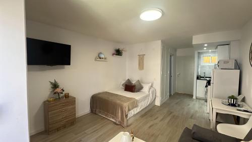 Studio luminoso