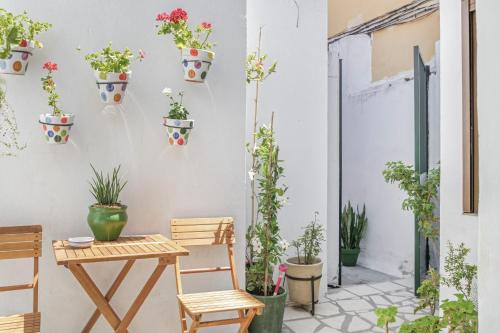 eine Terrasse mit Topfpflanzen an der Wand in der Unterkunft Espelete in El Puerto de Santa María
