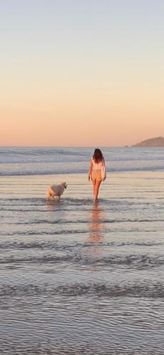 Welooveyou Blue Collection