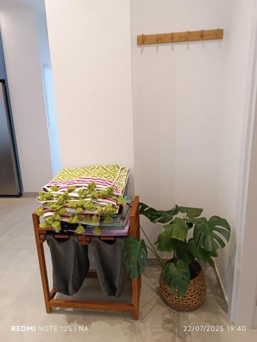 a table with a stack of magazines and a plant at Blue Aura Beach villa Larnaca in Pervolia