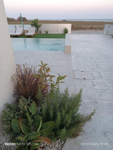 a backyard with a swimming pool and some plants at Blue Aura Beach villa Larnaca in Pervolia