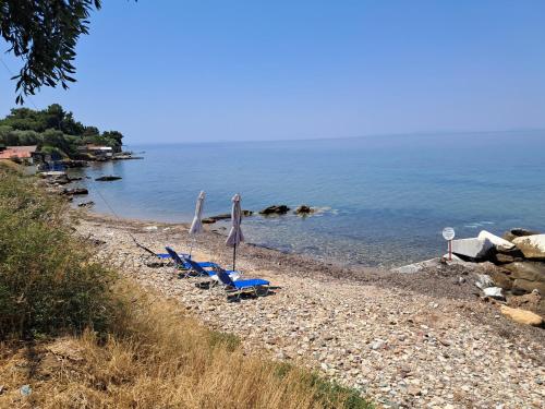 Gallery image of Erodios Studios in Skala Kallirakhis