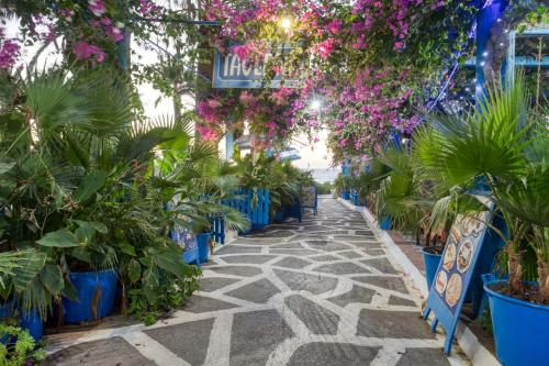 Κήπος έξω από το Palm Bay Sissi Hotel