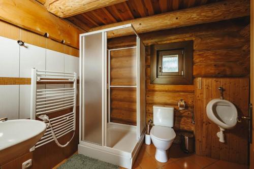 a bathroom with a shower and a toilet and a sink at Šumavská Vlčice - Rybářský srub in Strážný