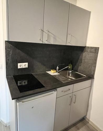 a kitchen with a sink and a counter top at Seebachstuben - gemütliche Mehrzimmerapartments in Dechsendorf in Erlangen