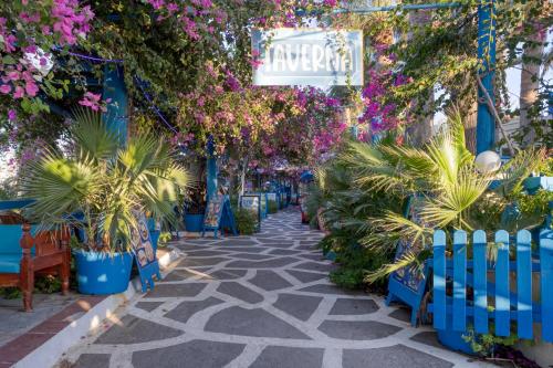 Κήπος έξω από το Palm Bay Sissi Hotel