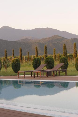 a pool with two benches next to a vineyard at Hotel Marani Sanavardo 