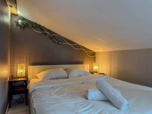 a bedroom with a large white bed with two pillows at Le Petit Perrière - HyperCentre - Quai de Grenoble in Grenoble