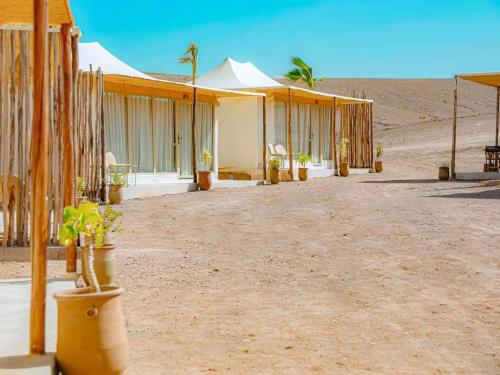 a row of tents in the desert with potted plants at Agafay Yes We Camps & Spa in El Karia