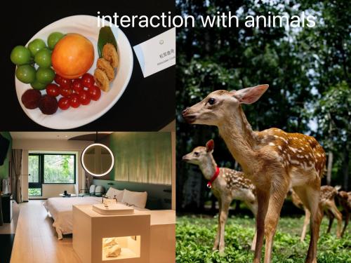 Φωτογραφία από το άλμπουμ του Zhi Resort Beijing&Peafowl Garden&Breakfast with Deer&Private Hot Spring&50 Meter Swimming Pool&Free Coffee&Close to Olympic Forest Park στο Πεκίνο