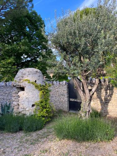 Κήπος έξω από το Mas Sylvie - Isle-sur-la-Sorgue